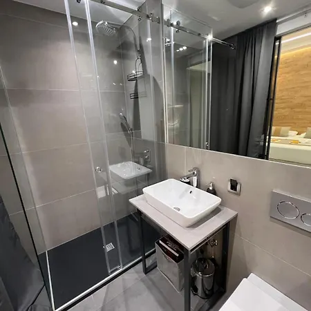 Apartment Alisa Rijeka